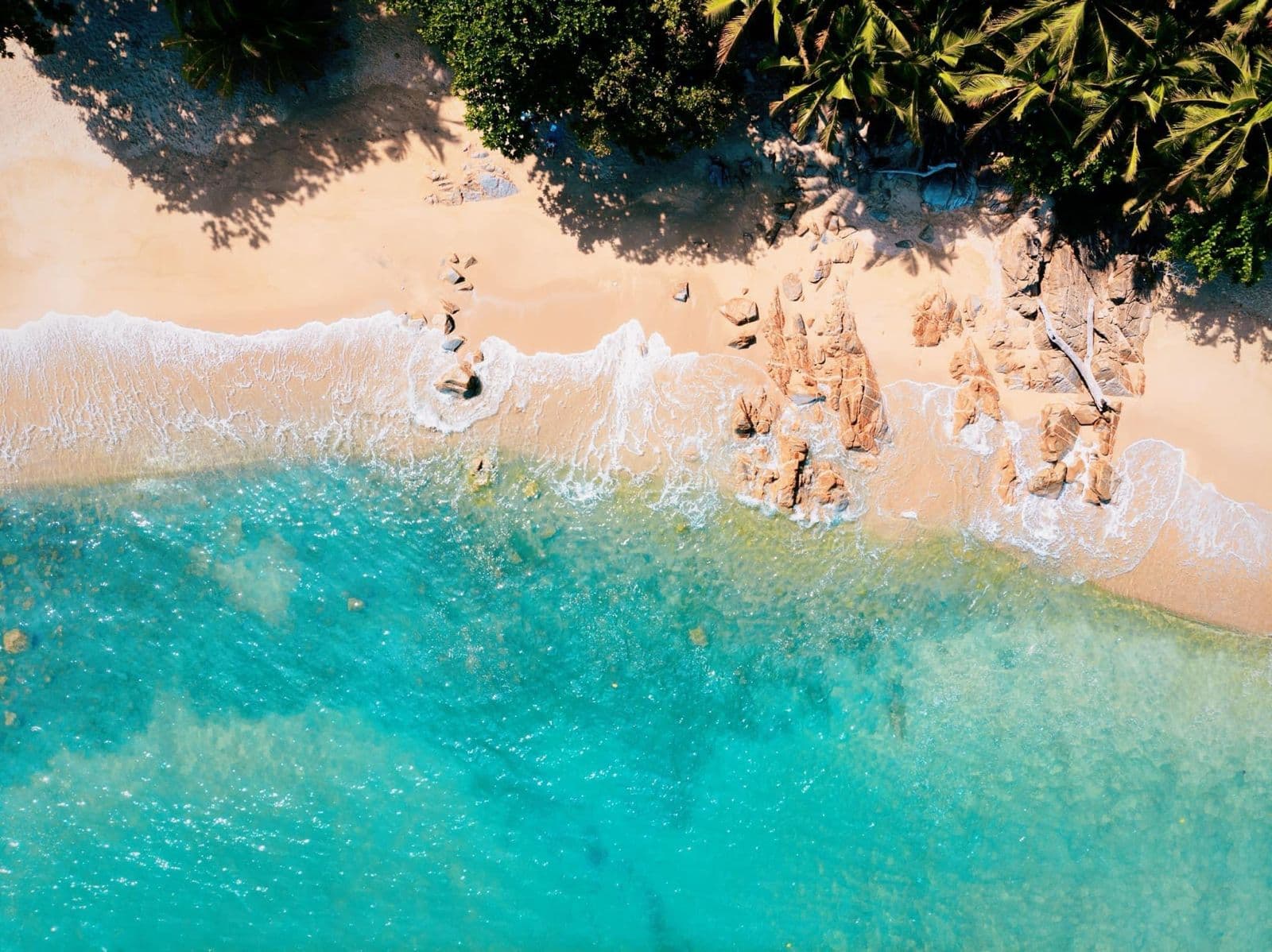 Banana Beach • Bijuteria Coroanei - Gallery 2