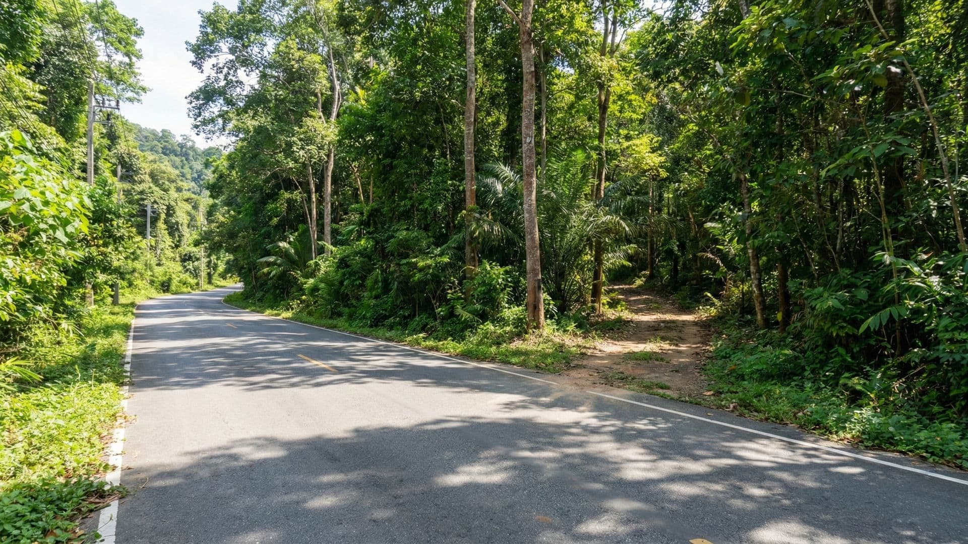 Koh Lanta • Domeniu Plajă-Munte - Gallery 1